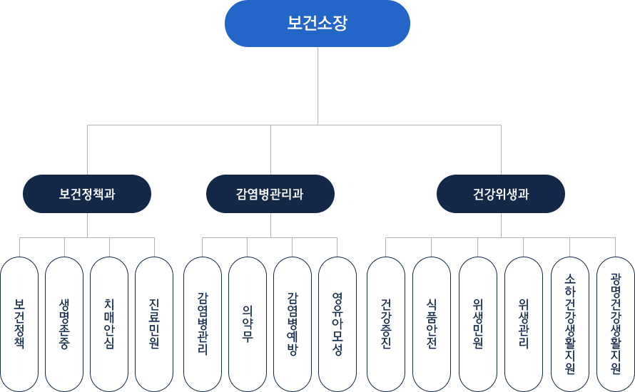 보건소장 - 진료의사 - 보건정책과 : 보건정책, 의약무, 진료민원, 시민건강증진센터, 건강생활지원센터/ 감염병관리과: 감염병관리, 감염병대응, 예방접종/ 건강생활과: 생명존중, 건강증진, 치매안심, 영유아모성