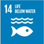 14 LIFE BELOW WATER