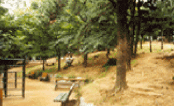 왕재산근린공원이미지