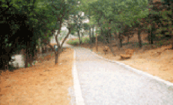 광덕/광덕산근린공원이미지