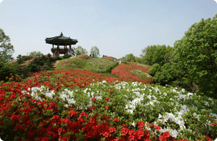 제 1 경 도덕산 도덕정 사진