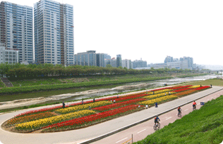 제 8 경 광명한내(안양천) 두번째 사진