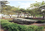 철산동지석묘 이미지