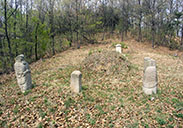 구치곤 구차숭 이미지