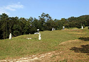 금천강씨 이미지