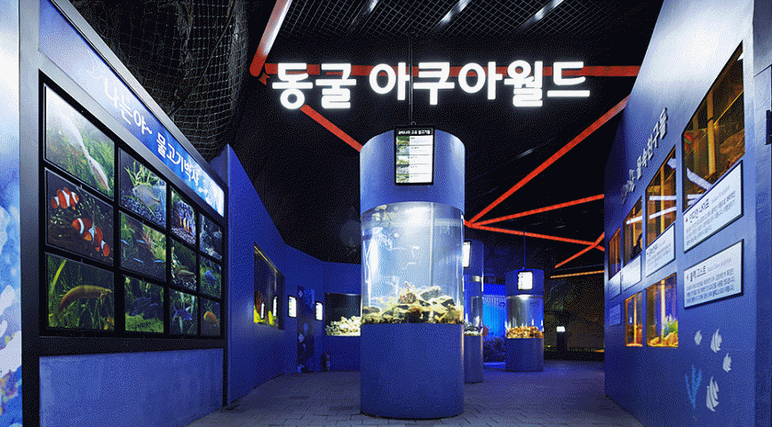 동굴 아쿠아 월드