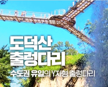 도덕산 출런다리 수도권 유이르이 Y자형 출렁다리