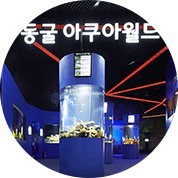 동굴 속 물의 세계