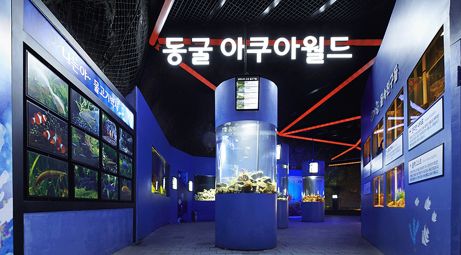 洞窟の中の水の世界