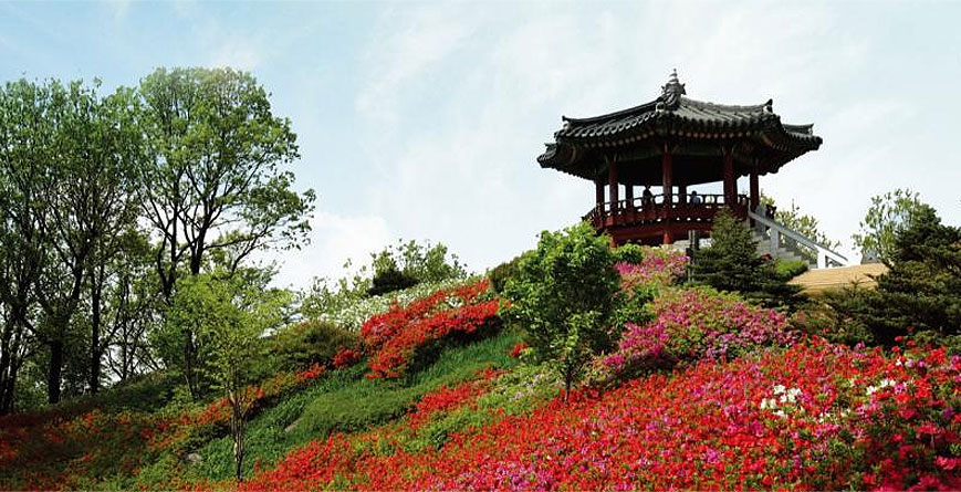 Dodeoksan Mountain and Dodeokjeong linked pictures