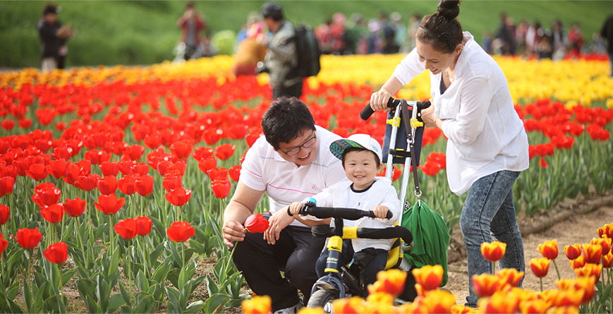 Gwanmyeong Hanne (Anyangcheon Stream) linked pictures