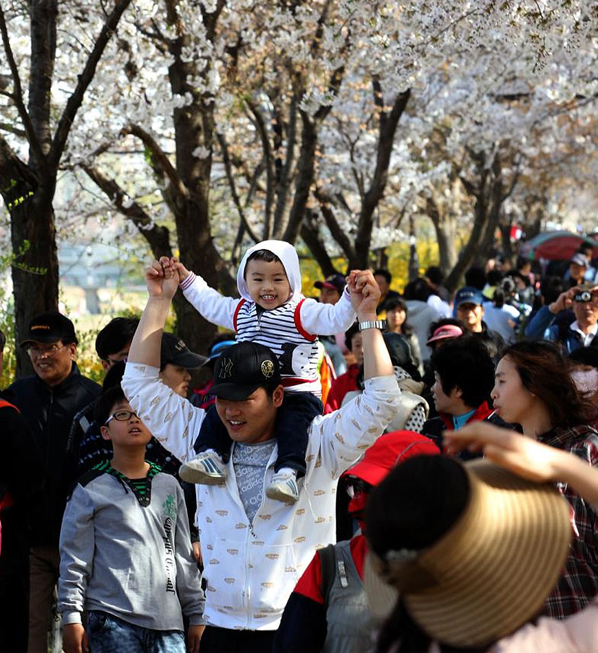 Gwanmyeong Hanne (Anyangcheon Stream) linked pictures