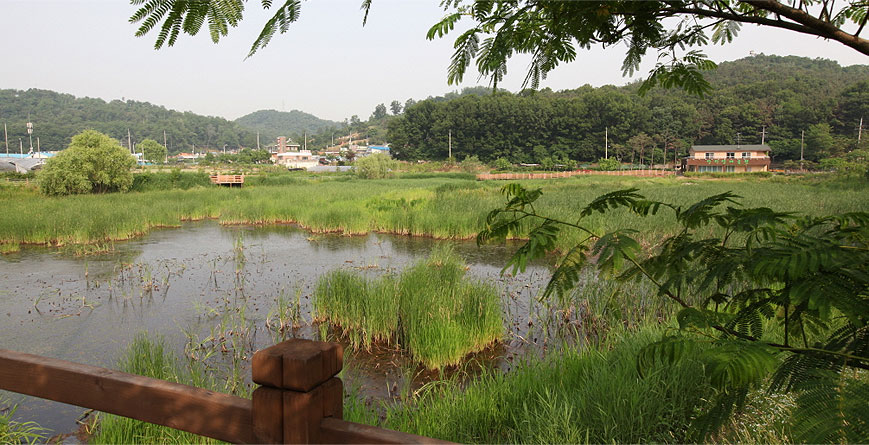 Anteo Eco Park linked pictures