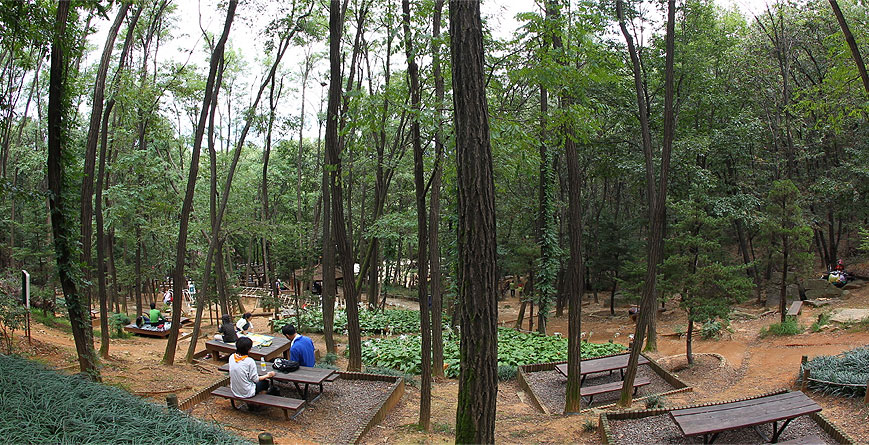 Gureumsan(Cloud) Mountain Forest Park linked pictures