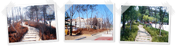 도덕초등학교 이미지