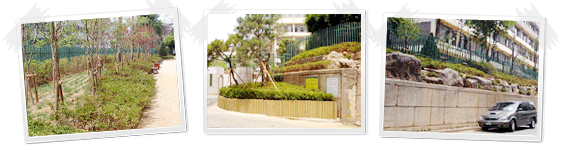 광명중학교 이미지