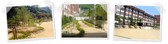 광일초등학교 이미지