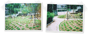 광명동초등학교 이미지