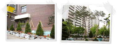 연서초등학교 이미지