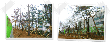 광명정보산업고등학교 이미지