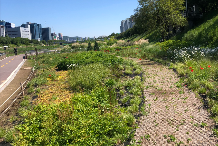 정원관리 대상지 사진대지(물결정원 사진)