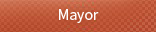 Deputy mayor