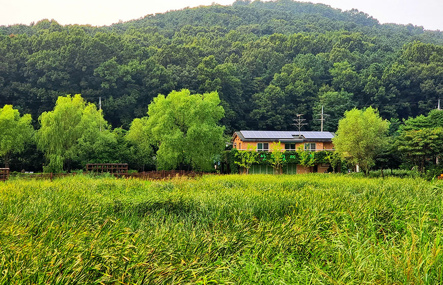 안터생태공원 사진
