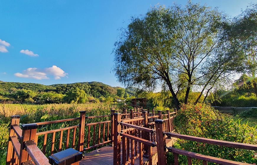 안터생태공원 사진